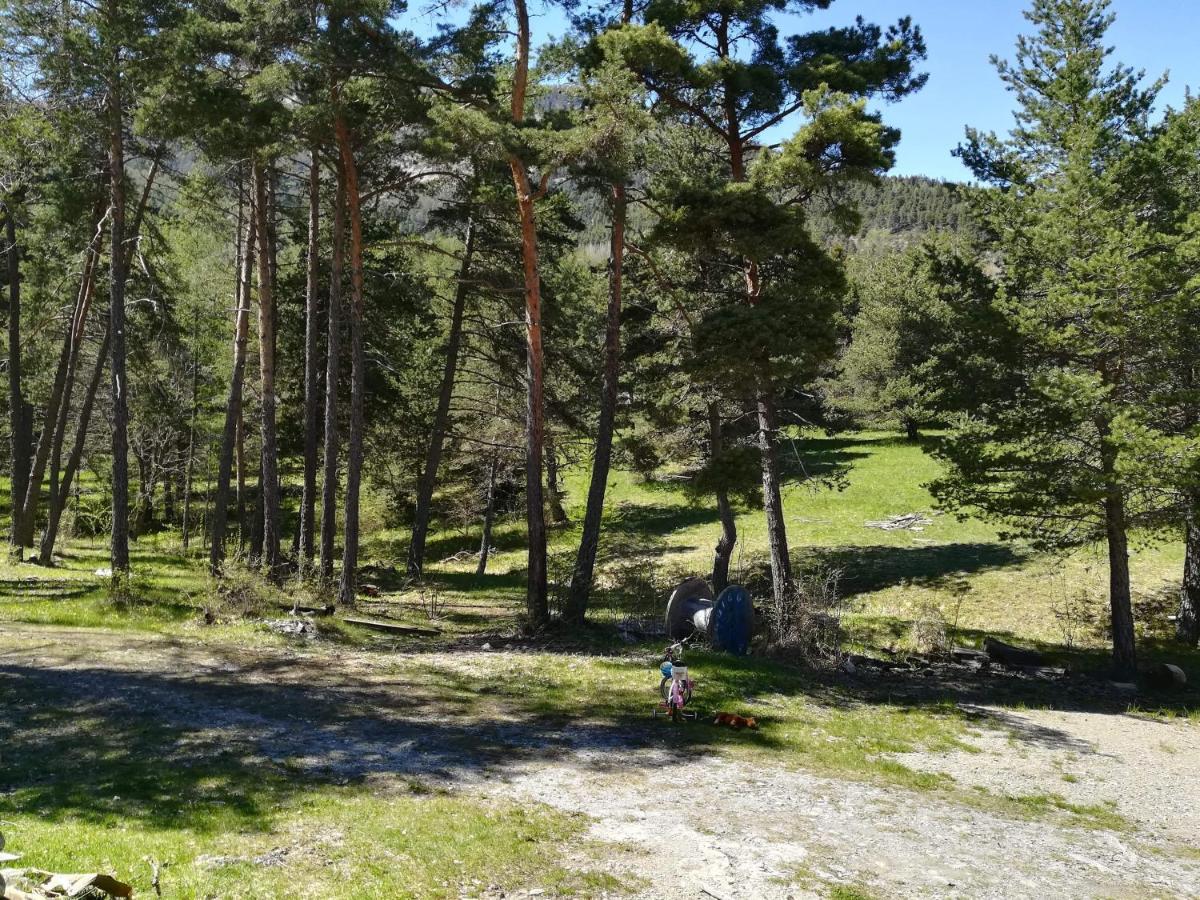 Les Pinees Hotel Chateauroux-les-Alpes Екстериор снимка